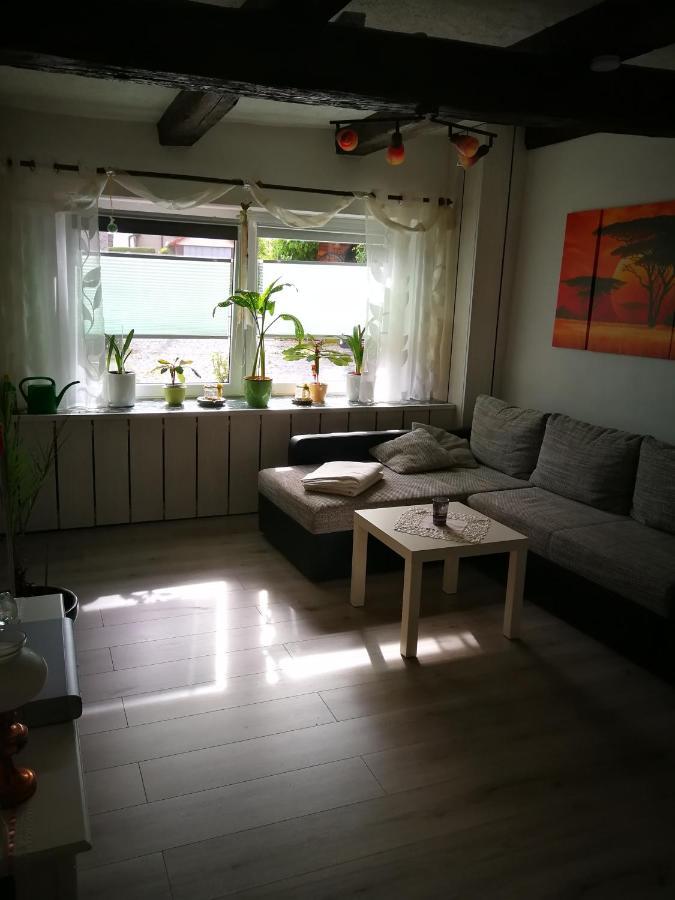 Ferienwohnung Am Finkenherd Dankerode  Экстерьер фото